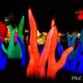 IMG_5147.jpg