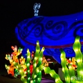IMG_5155.jpg
