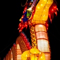 IMG_5170-Edit.jpg