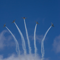 IMG 0625
