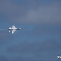 IMG 0959