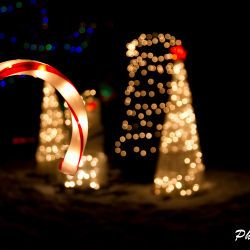 Fargo Lights 2014
