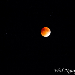 2015 Lunar Eclipse