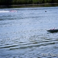 IMG_4294.jpg
