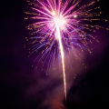 IMG_5658.jpg