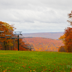 Bristol Fall Festival