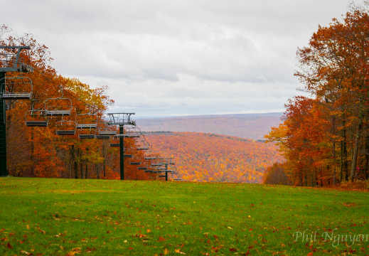 Bristol Fall Festival