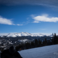 DSC00318.jpg