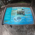 GOPR1153.jpg
