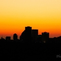 IMG 7183