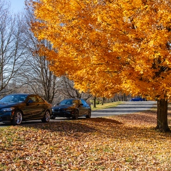 BMW in Mendon Ponds, NY
