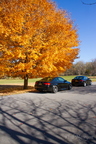 IMG 7594