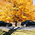 IMG 7586