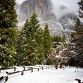 36 IMG 7733