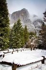 36 IMG 7733