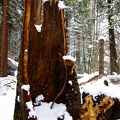 40_IMG_7787.jpg