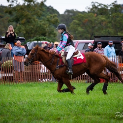 Genesee Valley Hunt Race