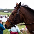 0022 IMG 8309