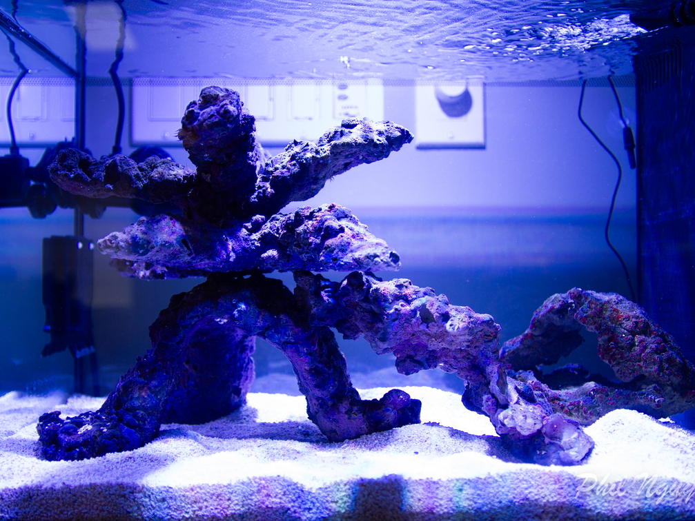 0001 IMG 9918