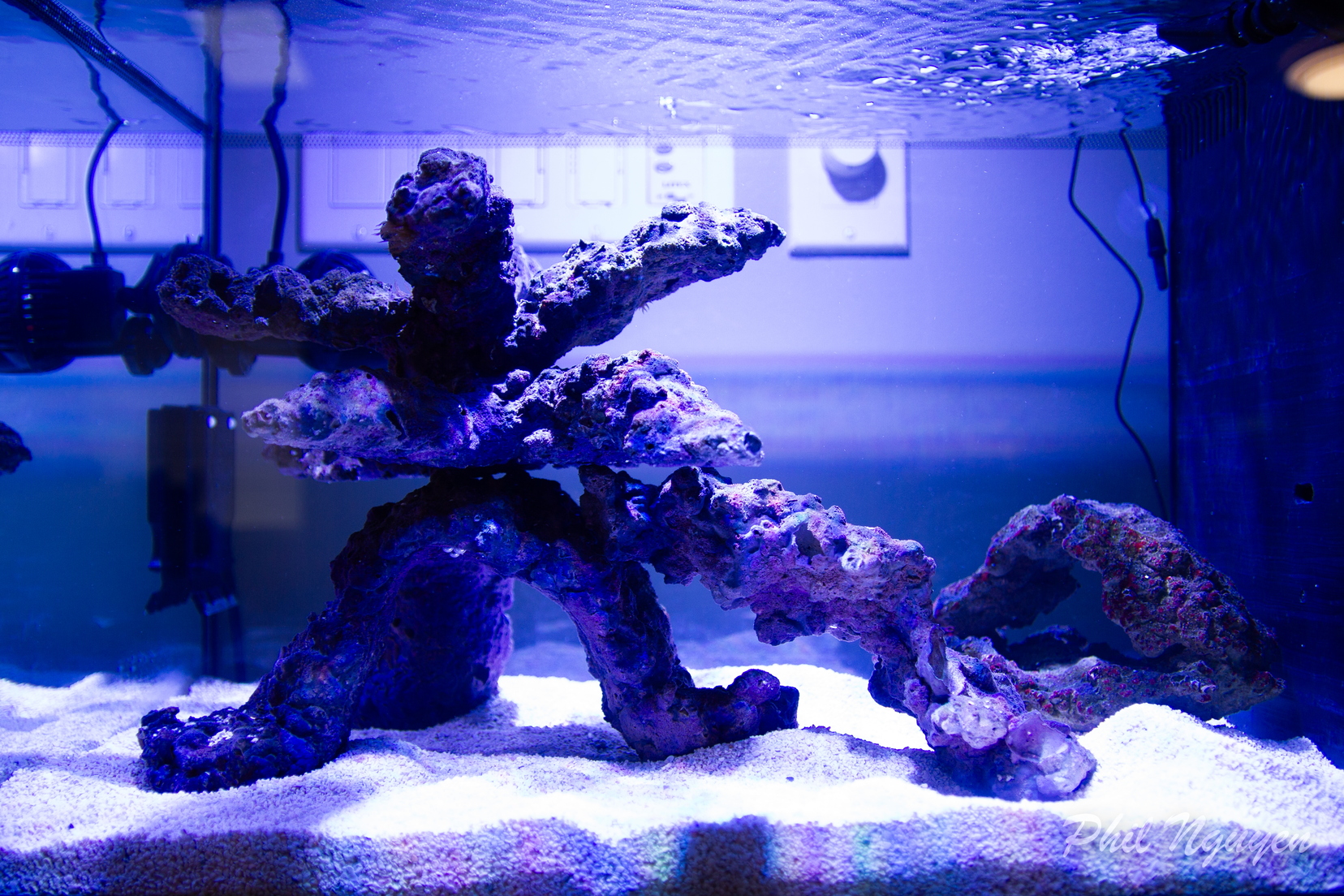 0001 IMG 9918