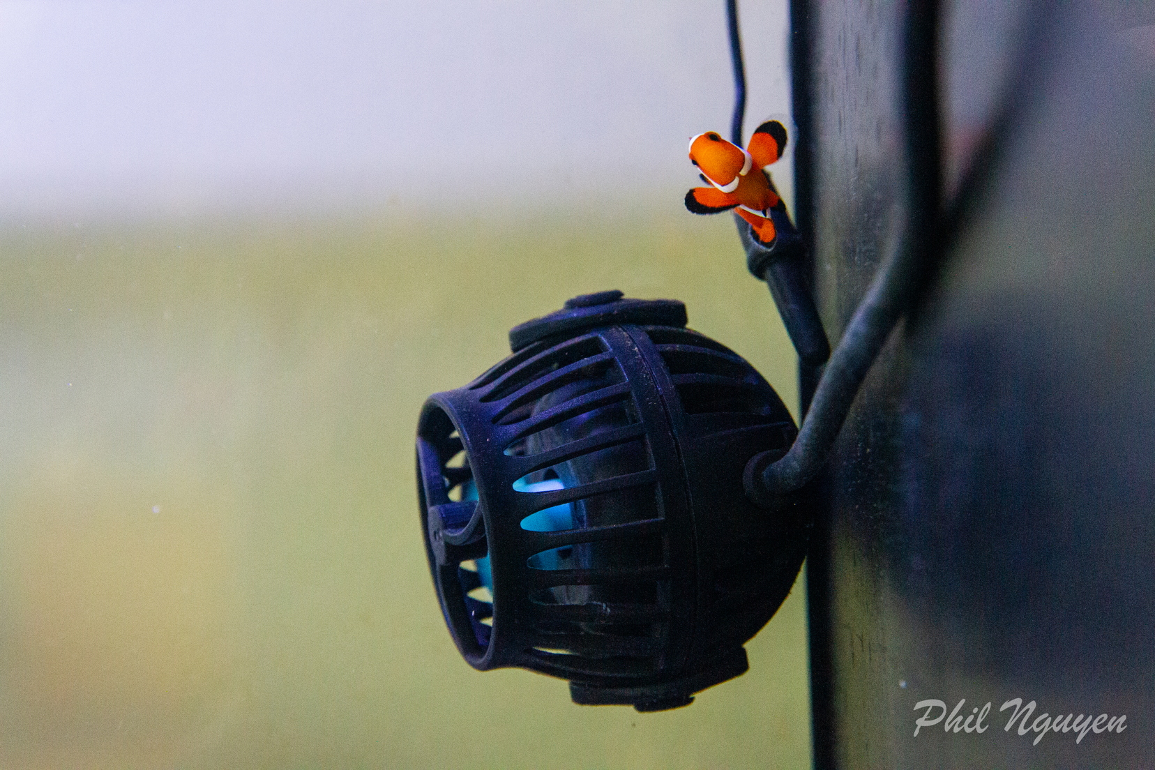 0001 IMG 9927