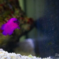 0002_IMG_9928.jpg