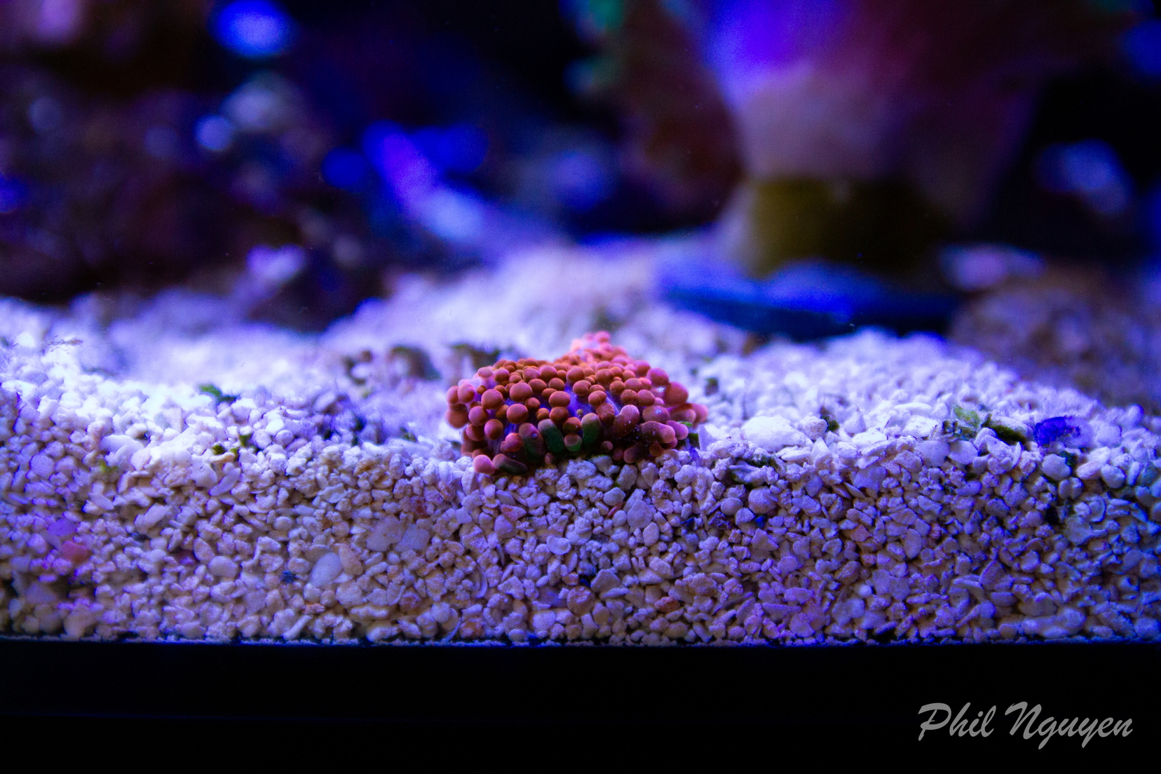 0001 IMG 9941