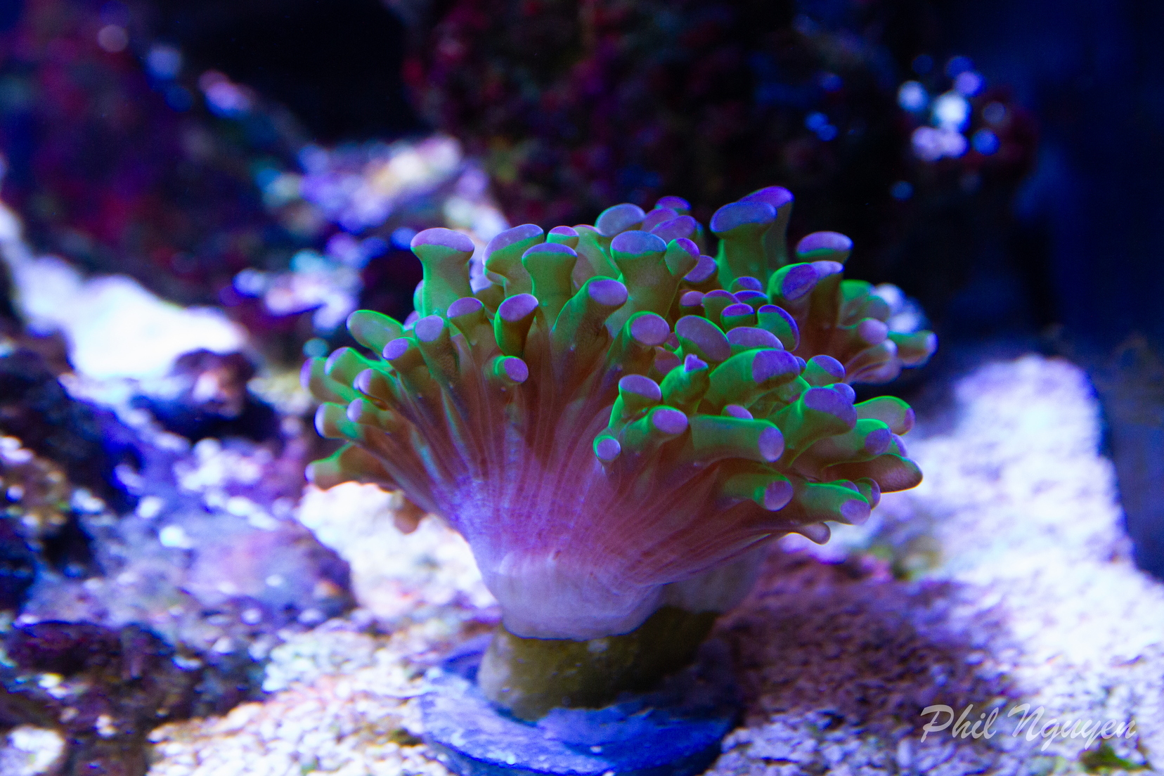 0002 IMG 9943