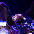 0003_IMG_9944.jpg