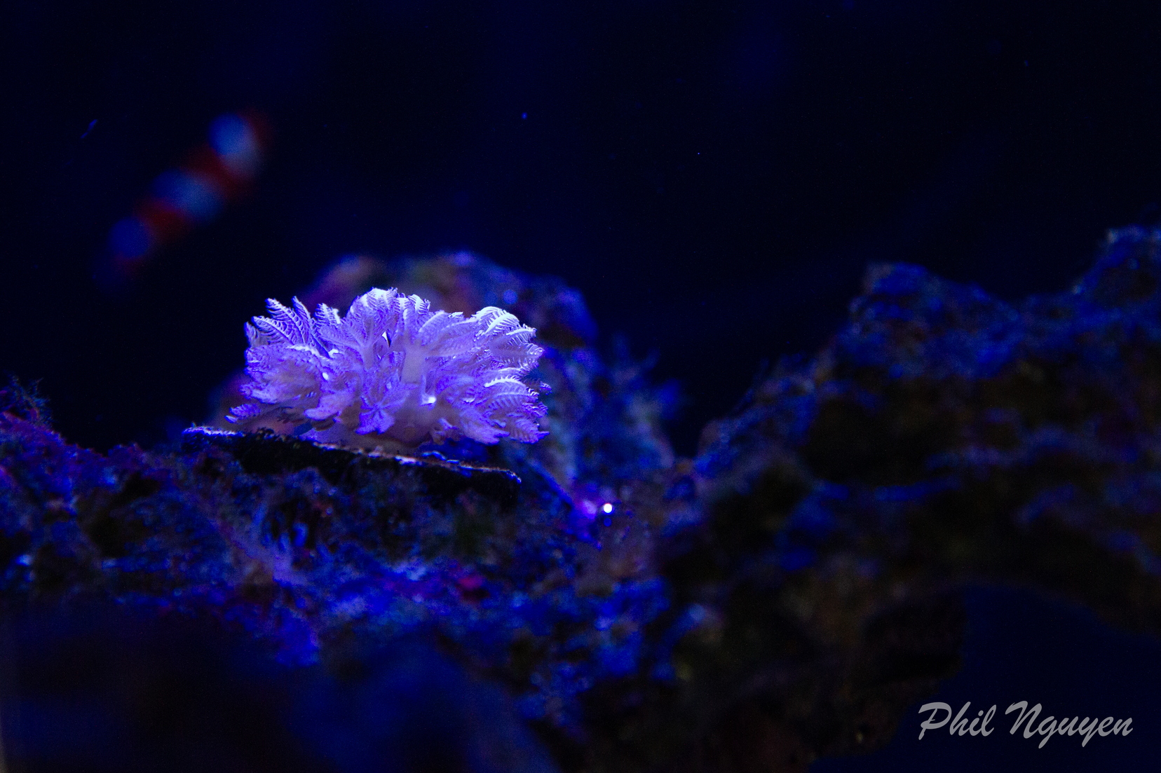 0004 IMG 9945