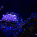 0004 IMG 9945