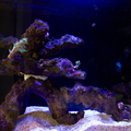 0005_IMG_9947.jpg