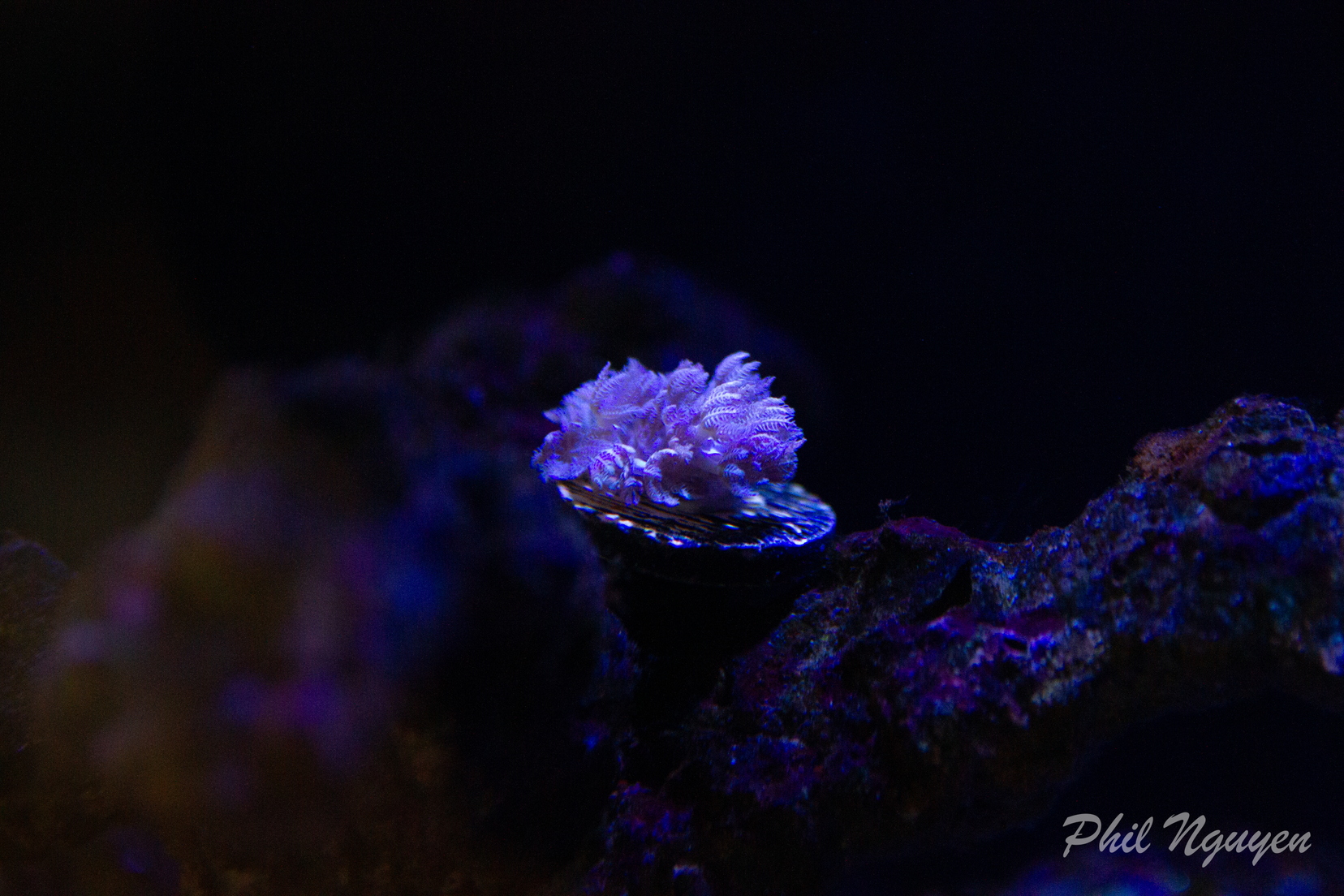 0007 IMG 9950