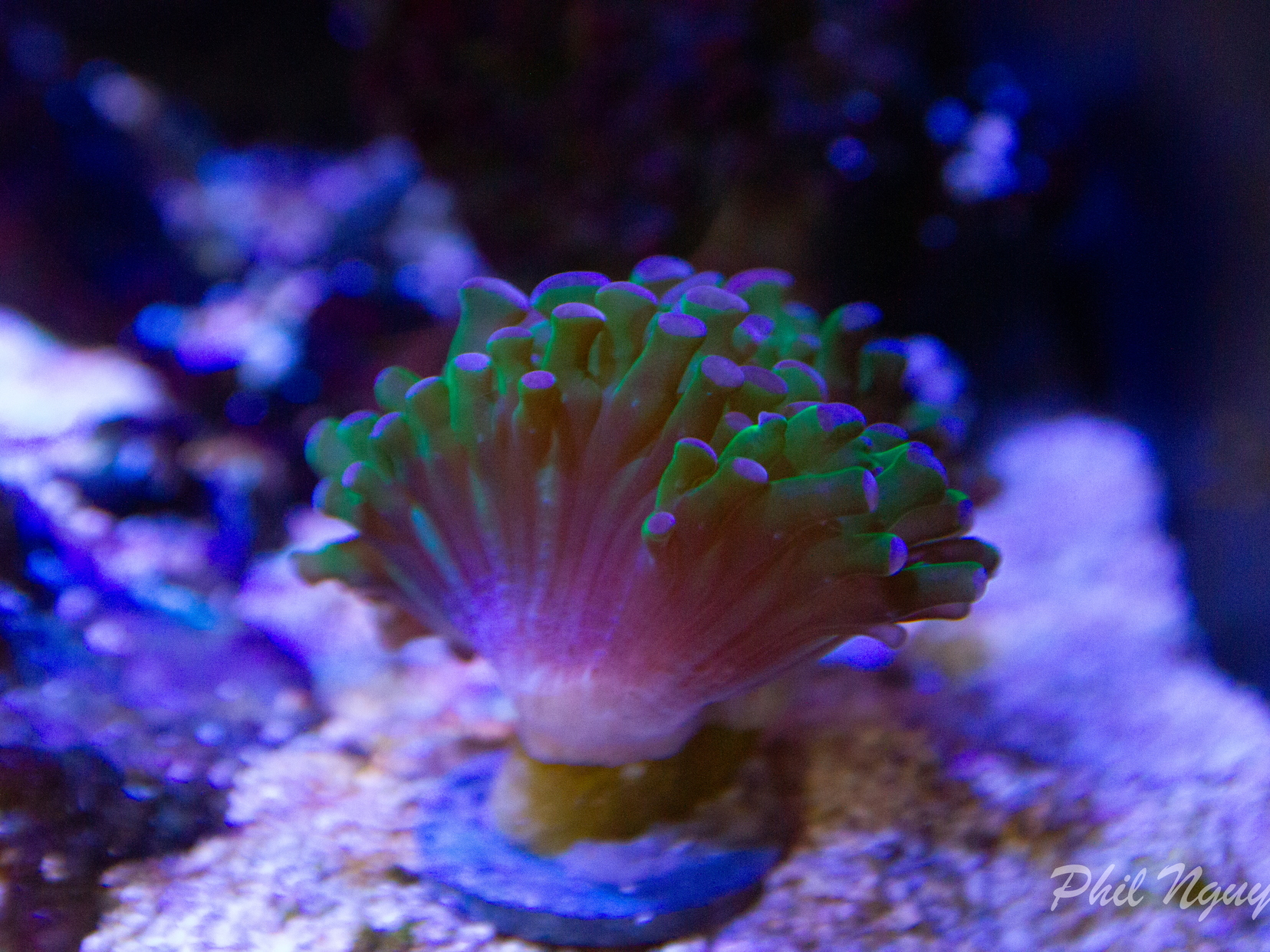 0008 IMG 9952