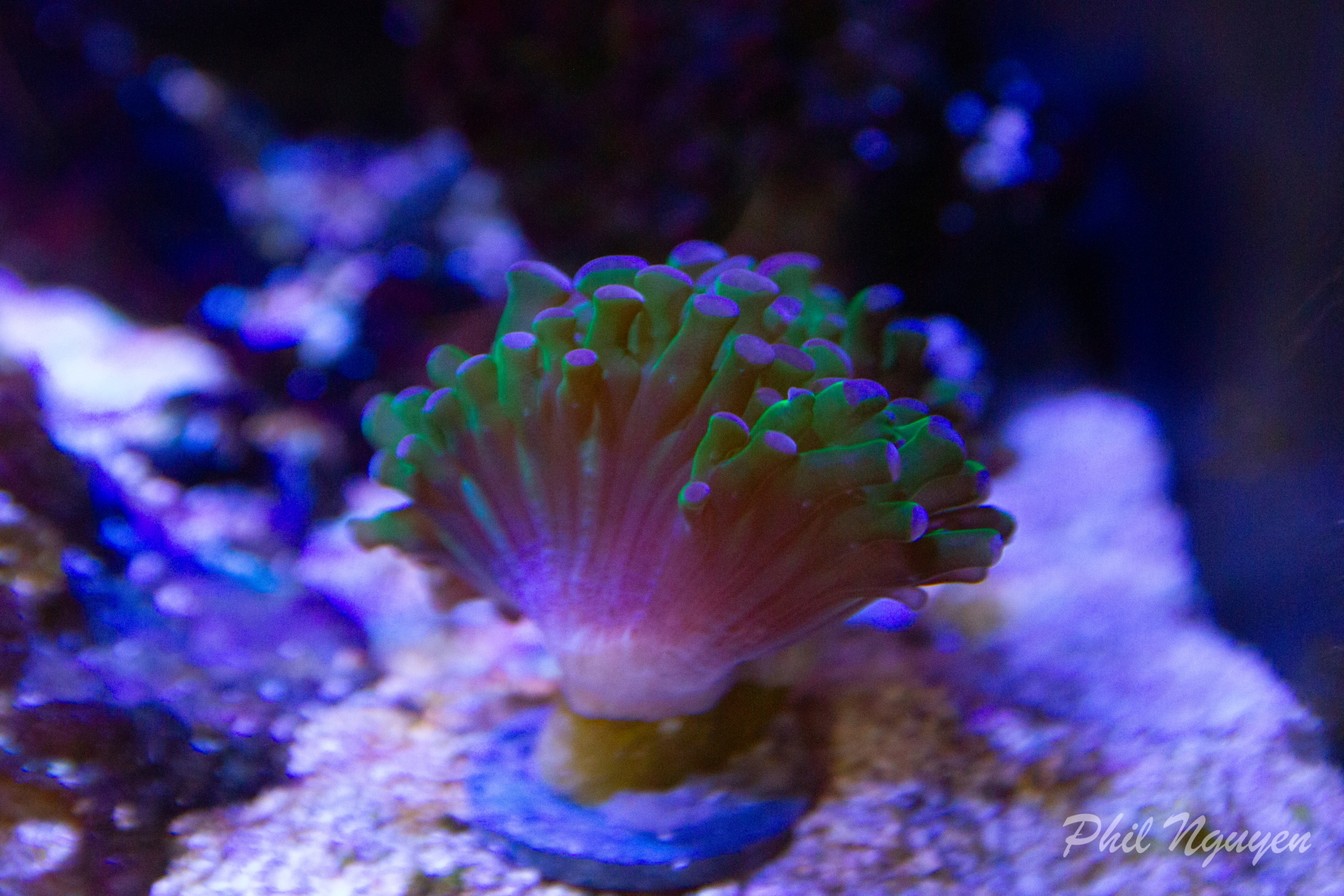 0008 IMG 9952