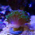 0008_IMG_9952.jpg