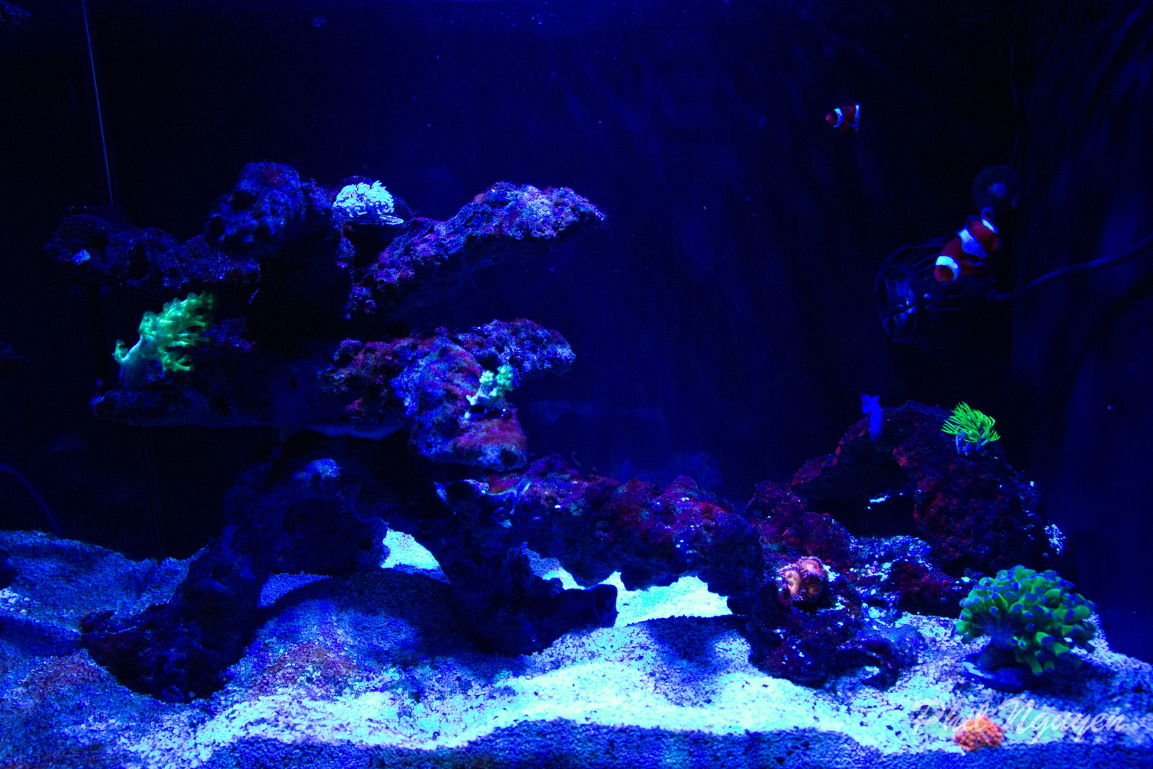 0001 IMG 9953