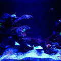 0001_IMG_9953.jpg