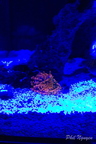 0003 IMG 9958