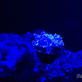 0007_IMG_9962.jpg