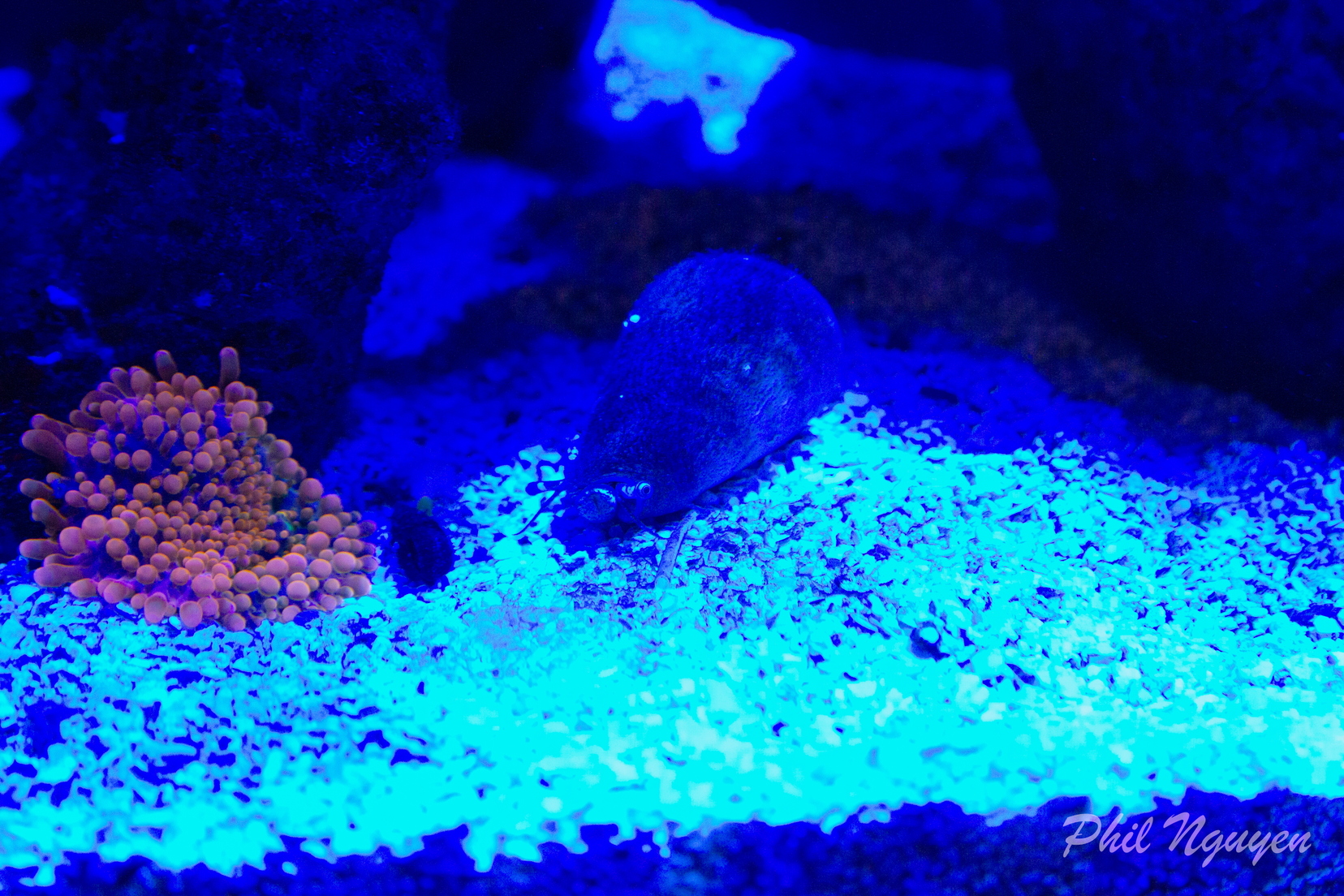 0009 IMG 9964