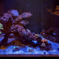 IMG_0399.jpeg
