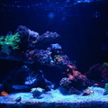 0001_IMG_0002-Enhanced-NR.jpg