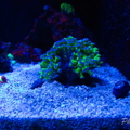 0002_IMG_0003.jpg