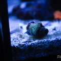 0010_IMG_0015.jpg
