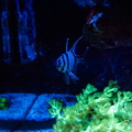 0004_IMG_0054.jpg