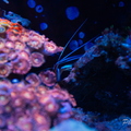 0005_IMG_0056.jpg
