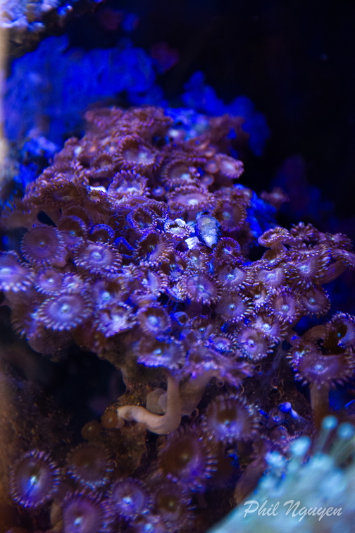 0008_IMG_0376.jpg
