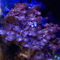 0008_IMG_0376.jpg