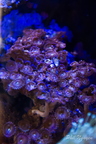 0008 IMG 0376